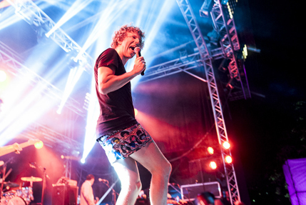 the wombats